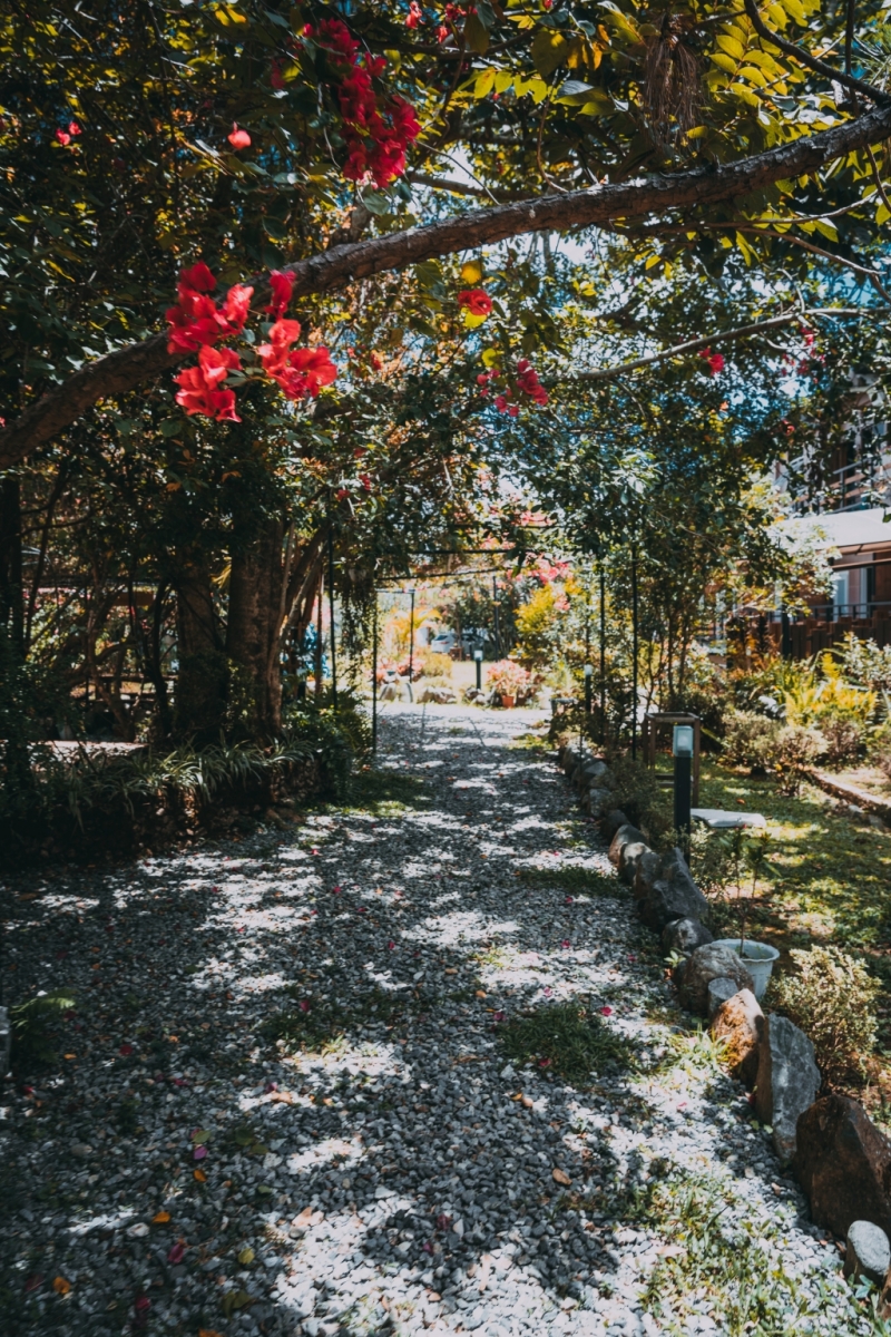 フィリピン留学 Cebu21 - Baguio JIC Premium campus-School View-17